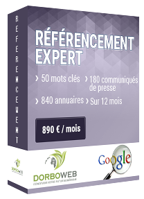 Référencement naturel 50 mots clés à 890 € par mois