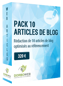 Rédaction de 10 articles de blog optimisés au référencement