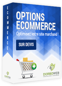 Modules et options ecommerce