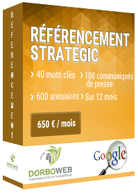 Référencement naturel 40 mots clés à 650 € par mois