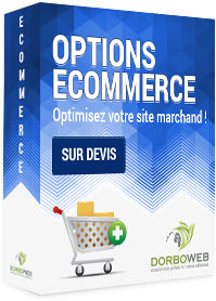 Modules et options ecommerce