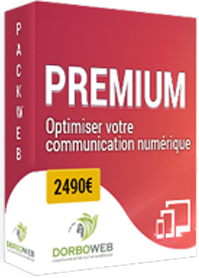 Découvrez notre pack web présence à partir de 2490 €